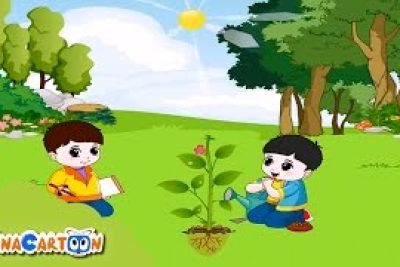 Thông báo việc đánh giá giáo viên, cán bộ QLCS GDMN trên phần mềm TEMIS